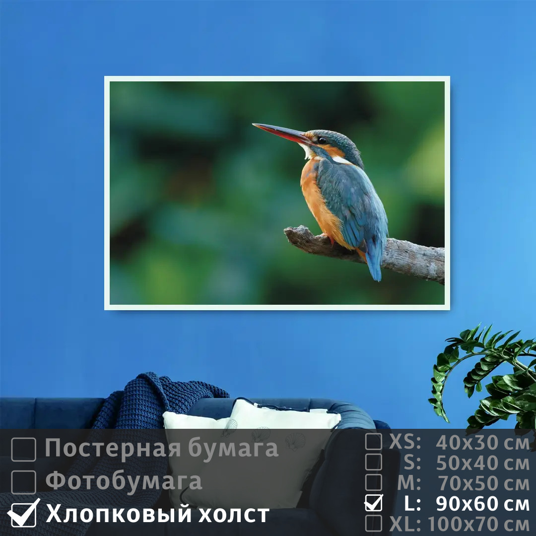 

Постер на холсте ПолиЦентр Птичка на ветке 90х60 см, ПтичкаНаВетке