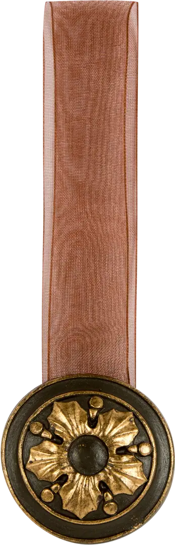 Подхват магнитный Inspire «Наима» 4,3х28 см цвет бронзовый