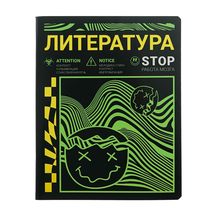 

Тетрадь предметная Полиграф Принт Неоновый смайл Литература 48 л в линейку, Неоновый смайл
