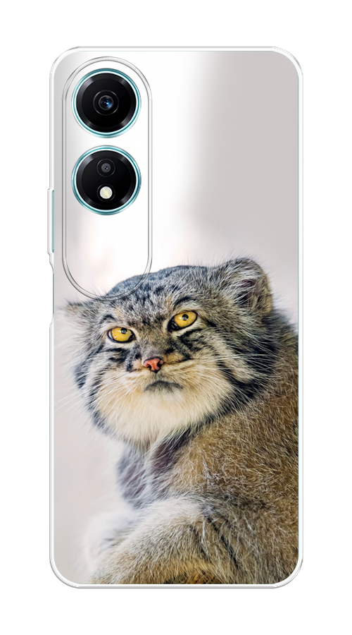 

Чехол на Honor X5 Plus "Кот манул 1", Серый;белый;желтый, 6121950-1