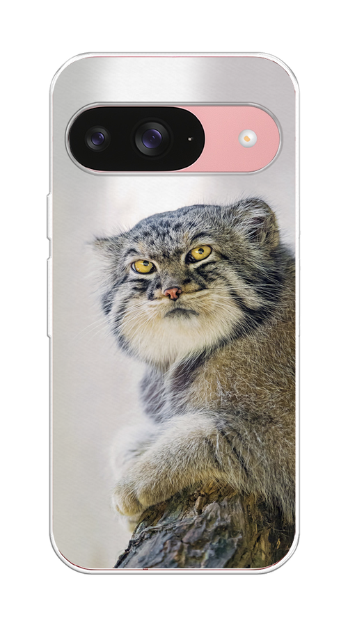 

Чехол на Google Pixel 9 "Кот манул 1", Серый;белый;желтый, 271950-1