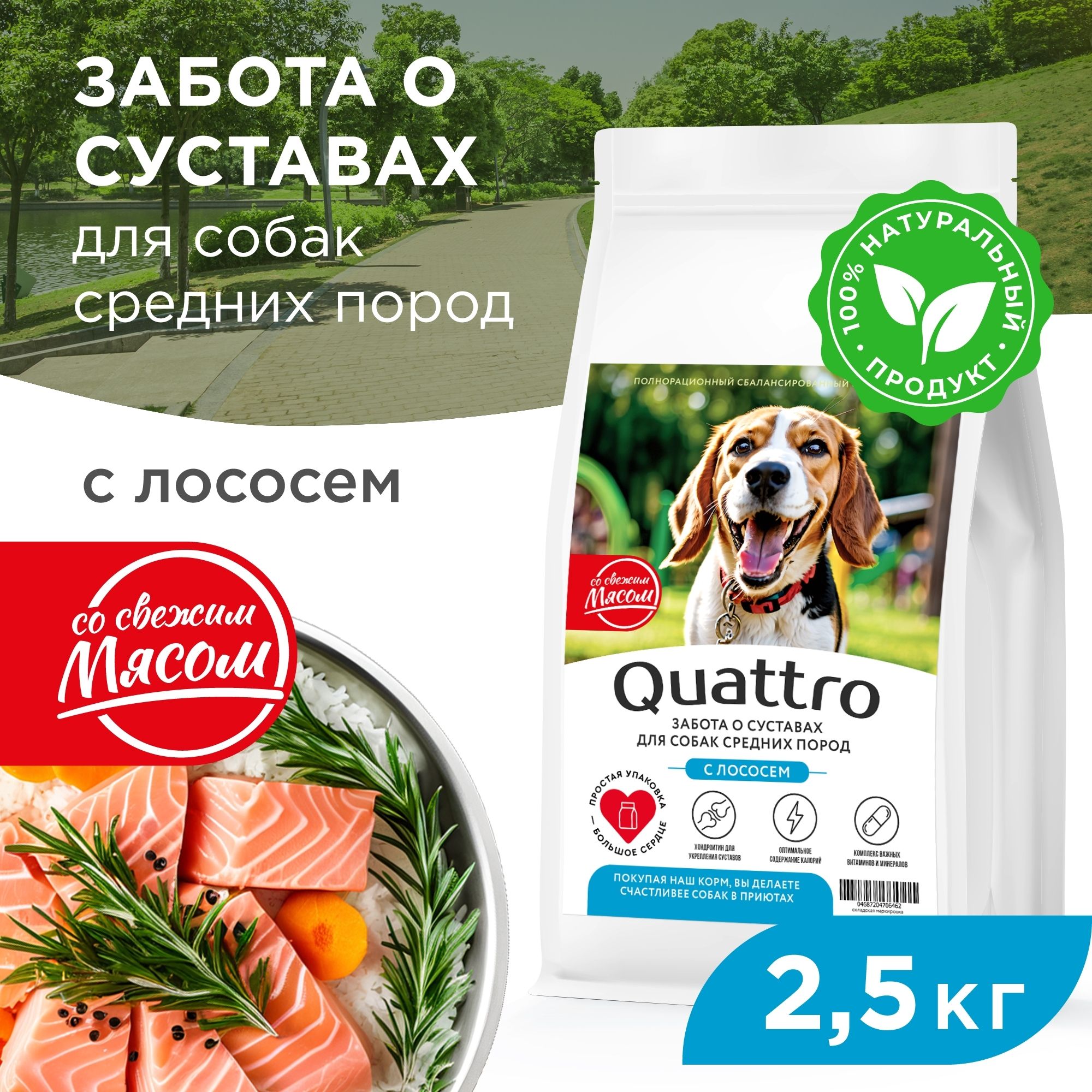 

Сухой корм для собак QUATTRO, Средние породы премиум, забота о суставах, лосось, 2,5 кг