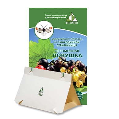 

Феромонная ловушка для cмородинной стеклянницы