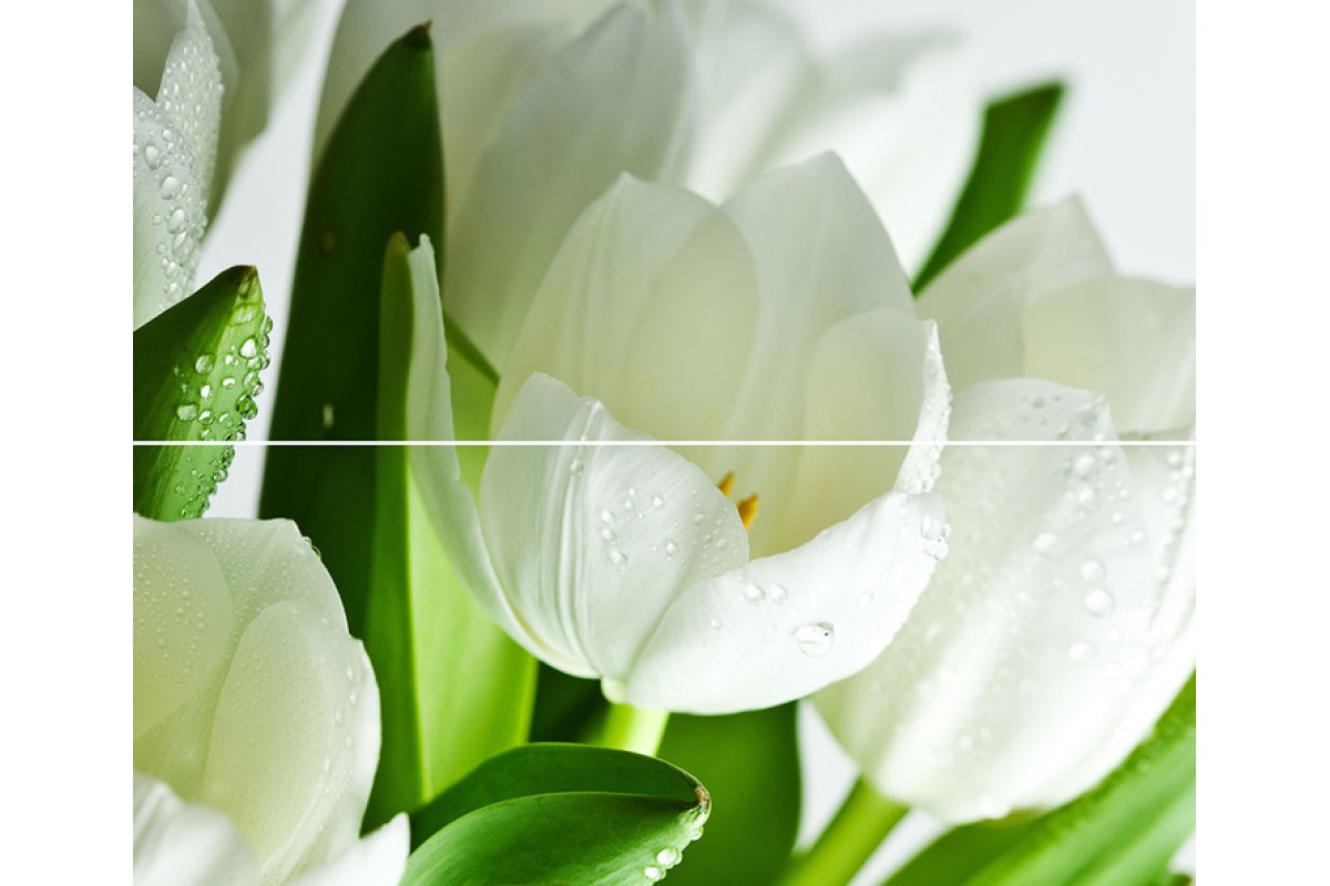 

Arco Verde Tulipan Панно (из 2-х пл.) 50x60