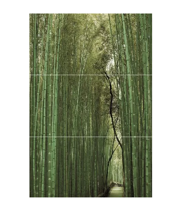 

Bambu Панно (из 3-х плиток ) D/E/F 50х75