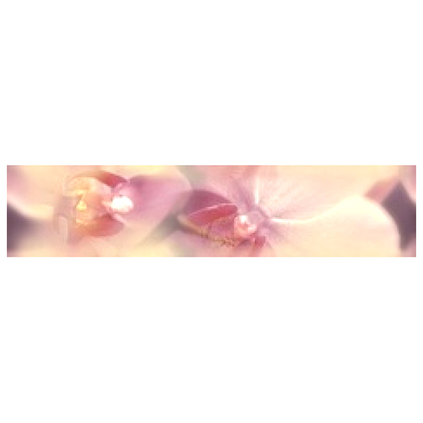 

Blossom Бордюр B200D183 4,5х20