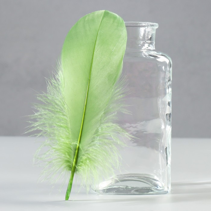 

Набор перьев гуся 13-18 см, 20 шт, армейский зелёный, Зеленый