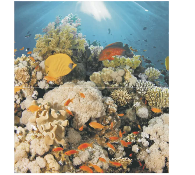 

Dec Corals Panno (панно из 2-х шт) 50х45