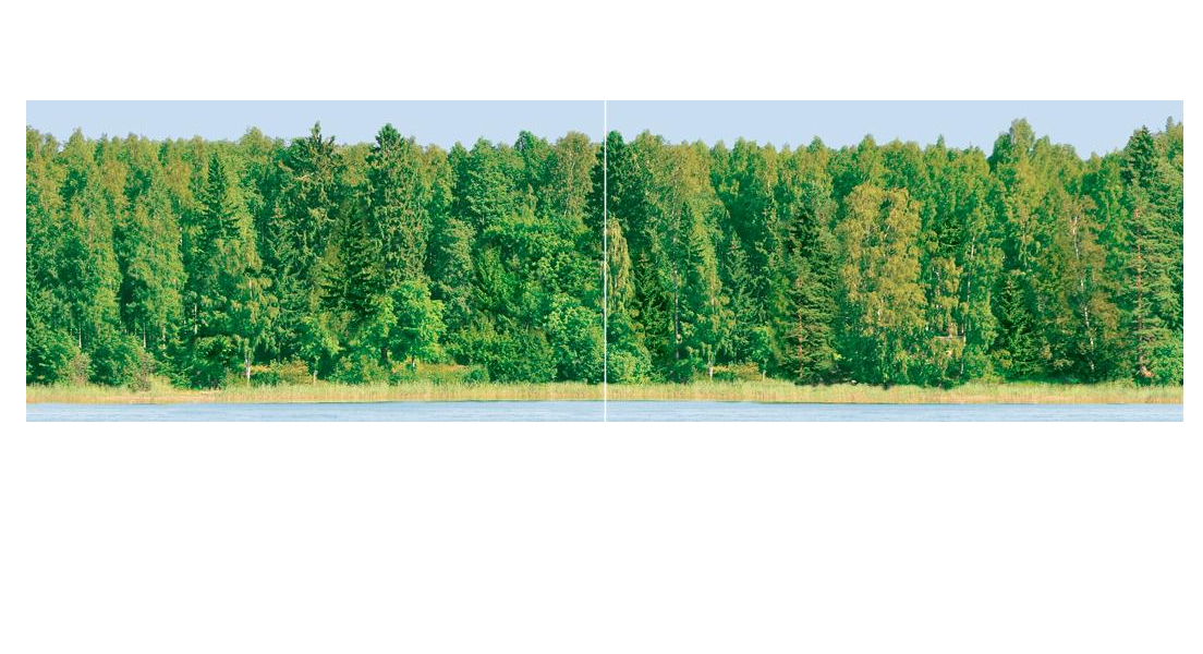 

Dec Forest Panno (панно из 2-х шт) КПН16Forest 25х90