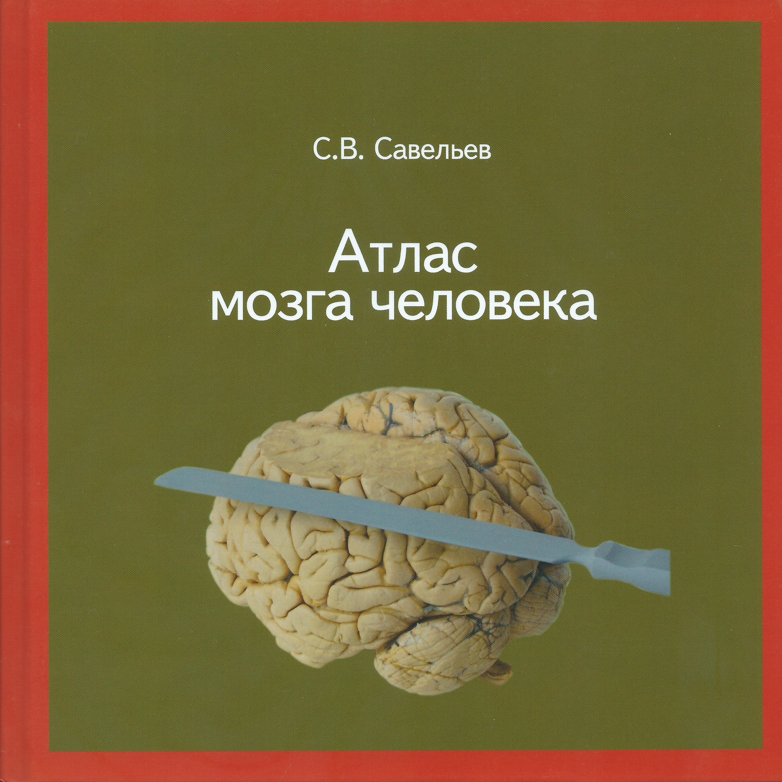 фото Книга атлас мозга человека. 2-е издание веди