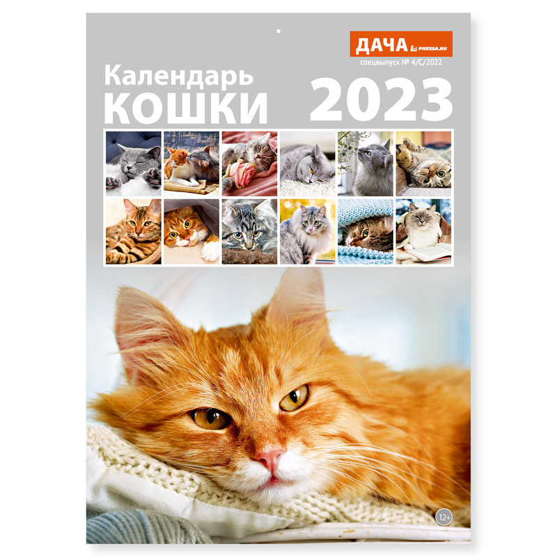

Календарь настенный перекидной на 2023 год Кошки, 21 см х 29 см, Кошки