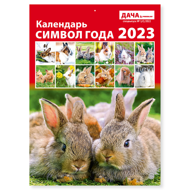 

Календарь настенный перекидной на 2023 год Символ года, 21 см х 29 см, Символ Года