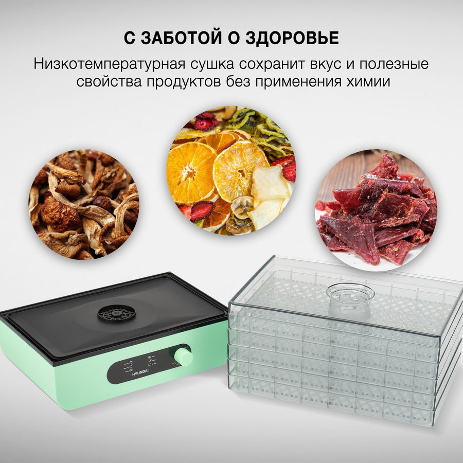 

Сушилка для овощей и фруктов Hyundai HYDF-5032, мятный, 5 поддонов
