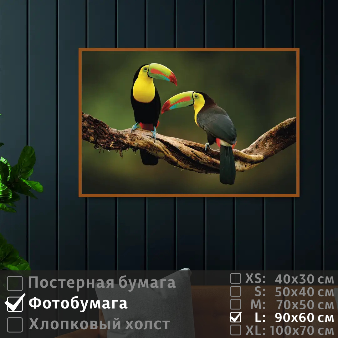 

Постер на фотобумаге ПолиЦентр Два тукана на ветке 90х60 см, ДваТуканаНаВетке