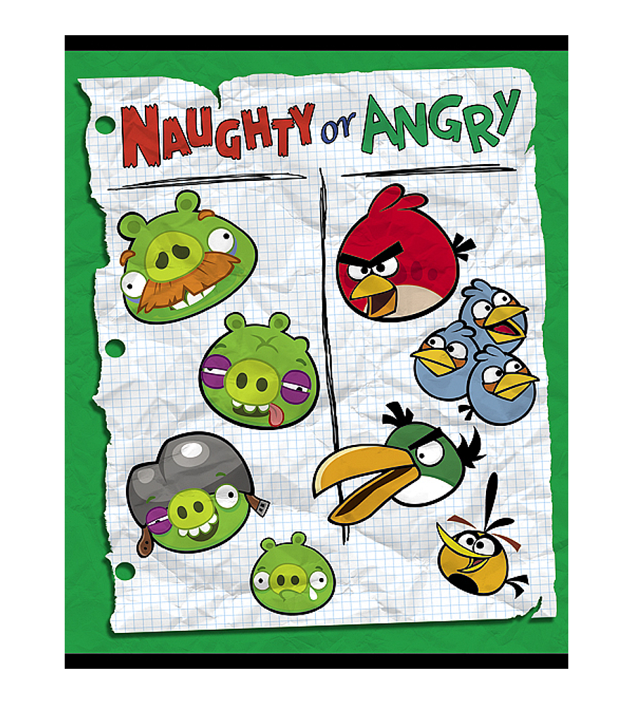 

Тетрадь общая Hatber Angry Birds выпуск №3 48 листов А5 клетка микс дизайнов 5 штук