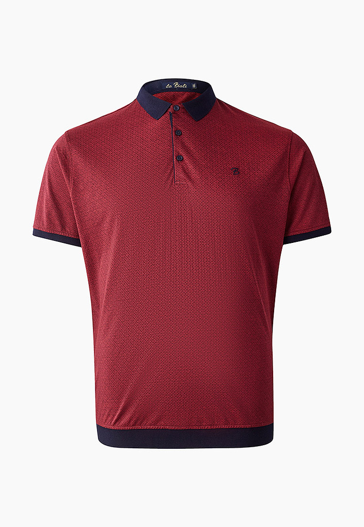 

Футболка мужская La Biali В9836-1/119-10 бордовая 3XL, В9836-1/119-10