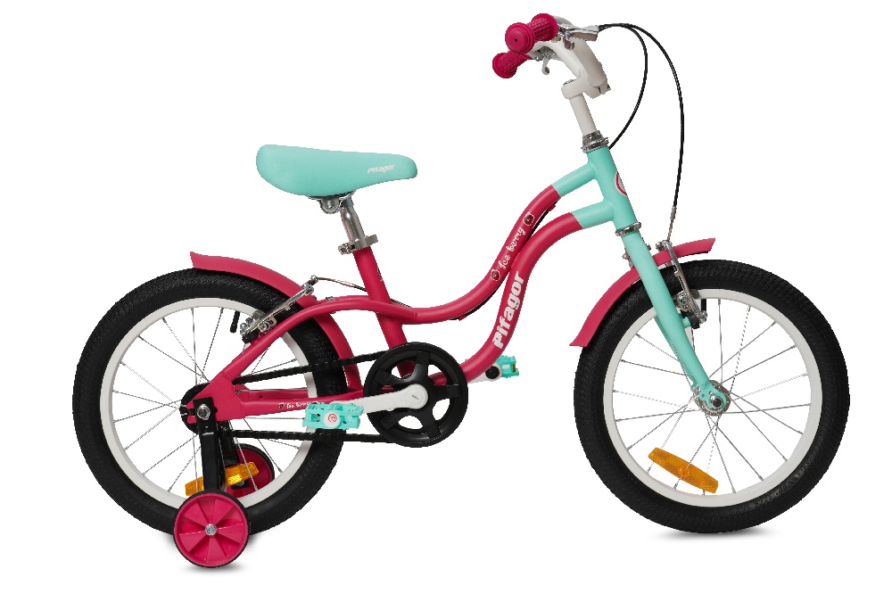 Велосипед Pifagor IceBerry 16 розовый/голубой PR16IBPB велосипед pifagor currant 18 красный pg18ctrs