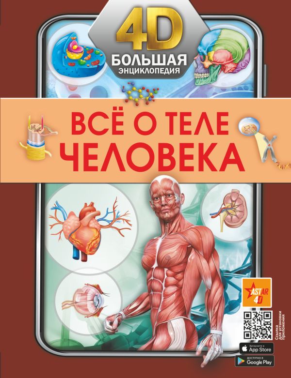 

Всё о теле человека