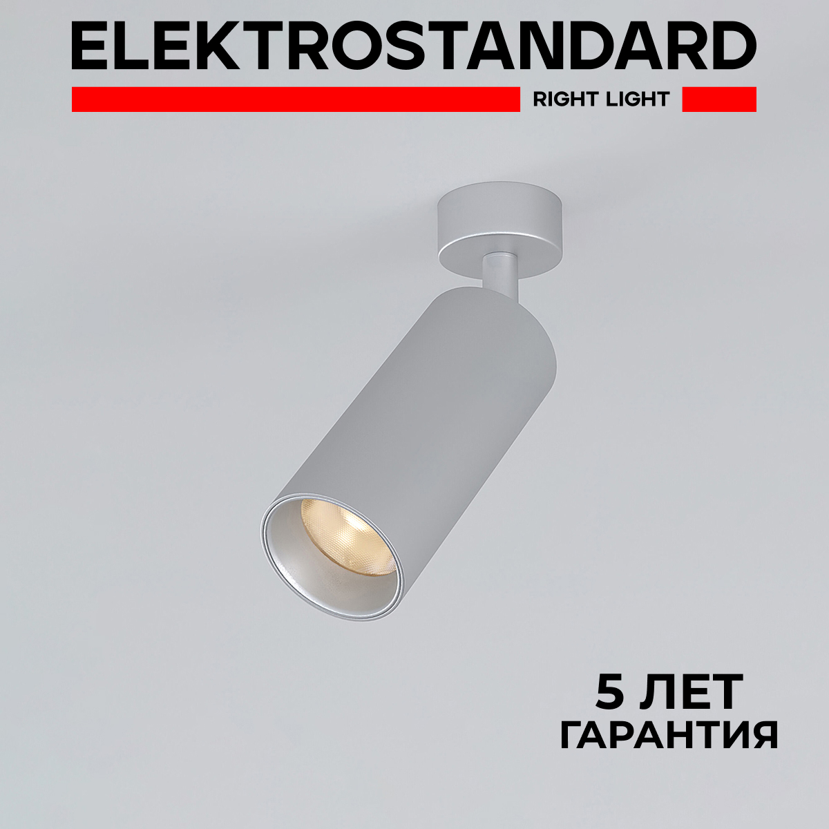 Накладной светодиодный светильник Elektrostandard Diffe 85252/01 серебряный 10W 4200 К