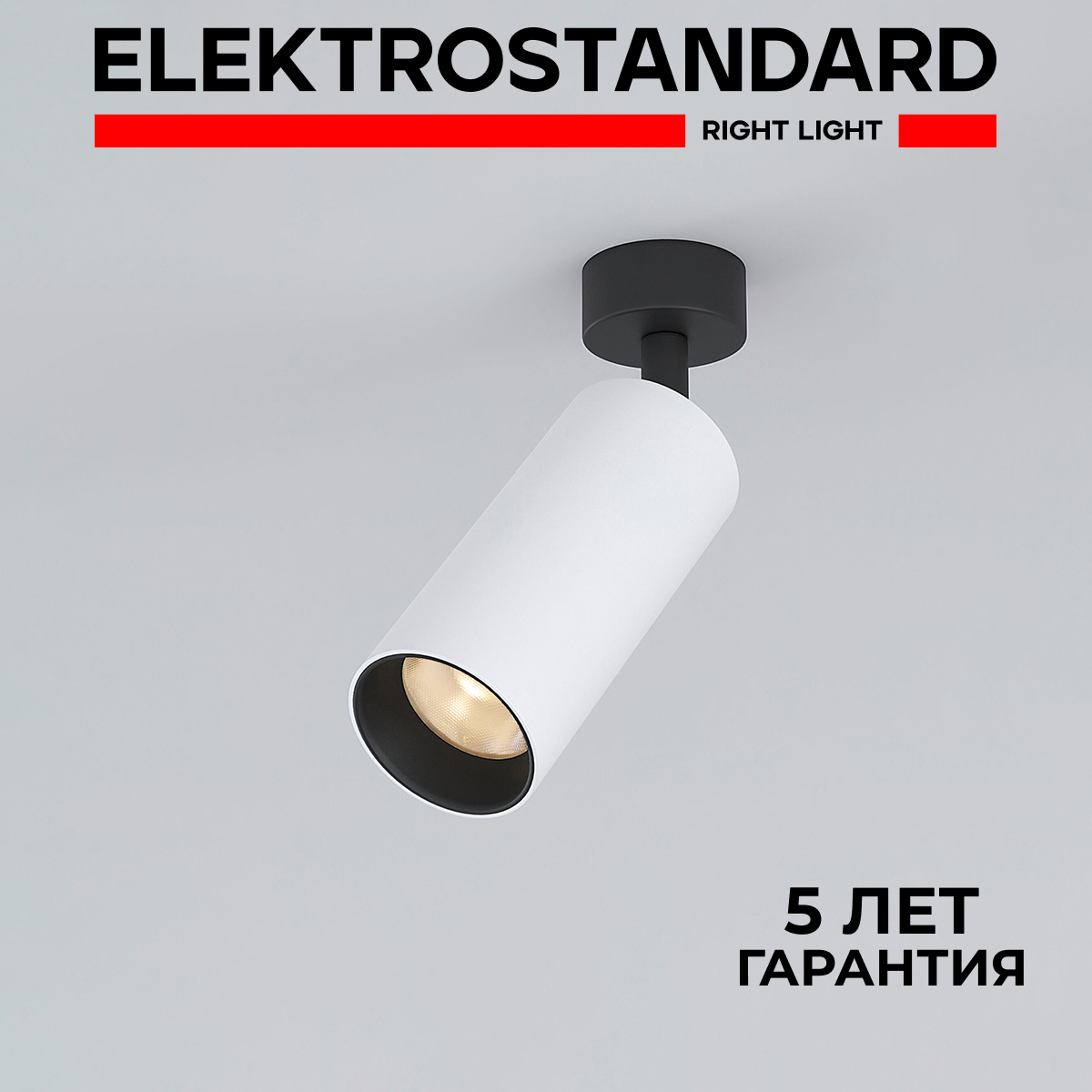 

Накладной светодиодный светильник Elektrostandard Diffe 85252/01 белый/черный 10W 4200 К, Diffe 190923