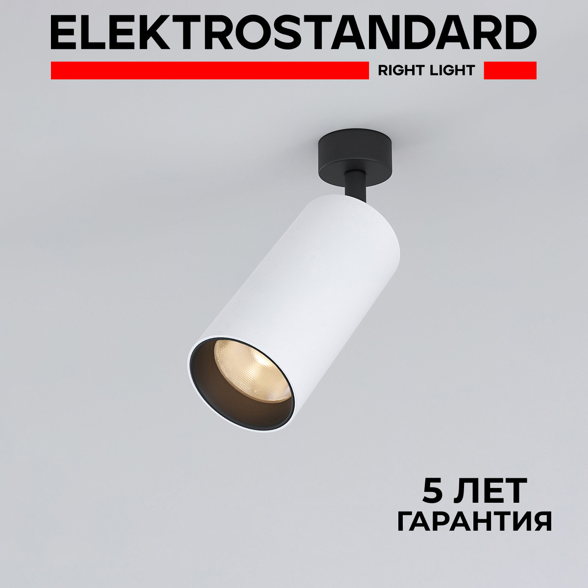 

Накладной светодиодный светильник Elektrostandard Diffe 85266/01 белый/черный 15W 4200 К, Diffe 190923