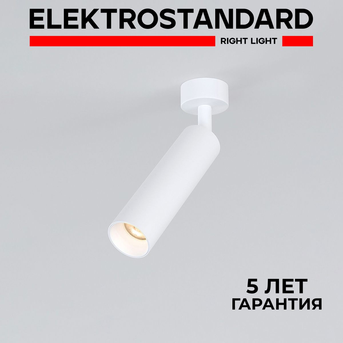 Накладной светодиодный светильник Elektrostandard Diffe 85239/01 белый 8W 4200 К