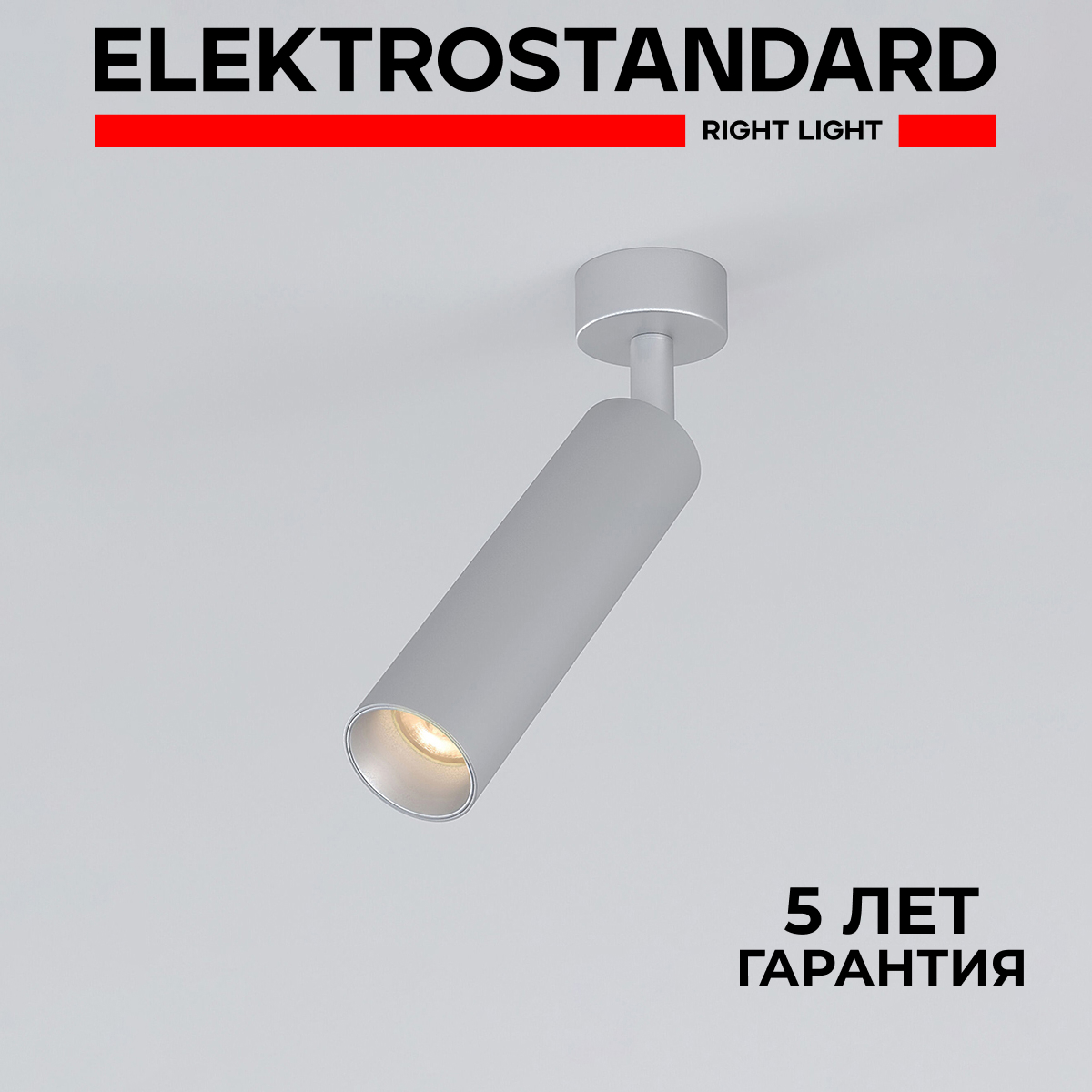 Накладной светодиодный светильник Elektrostandard Diffe 85239/01 серебряный 8W 4200 К