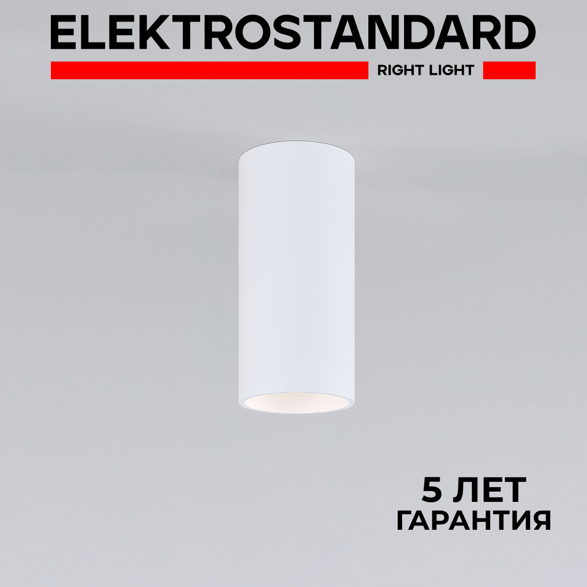 

Накладной светодиодный светильник Elektrostandard Diffe 85580/01 белый 24 W 4200 К, Diffe 190923