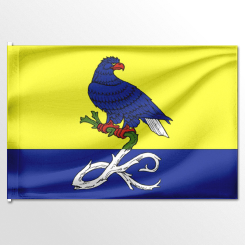 

Флаг ЦТП ФЕНИКС Каршевитского сельского поселения 135x90 см, 1194-135x90