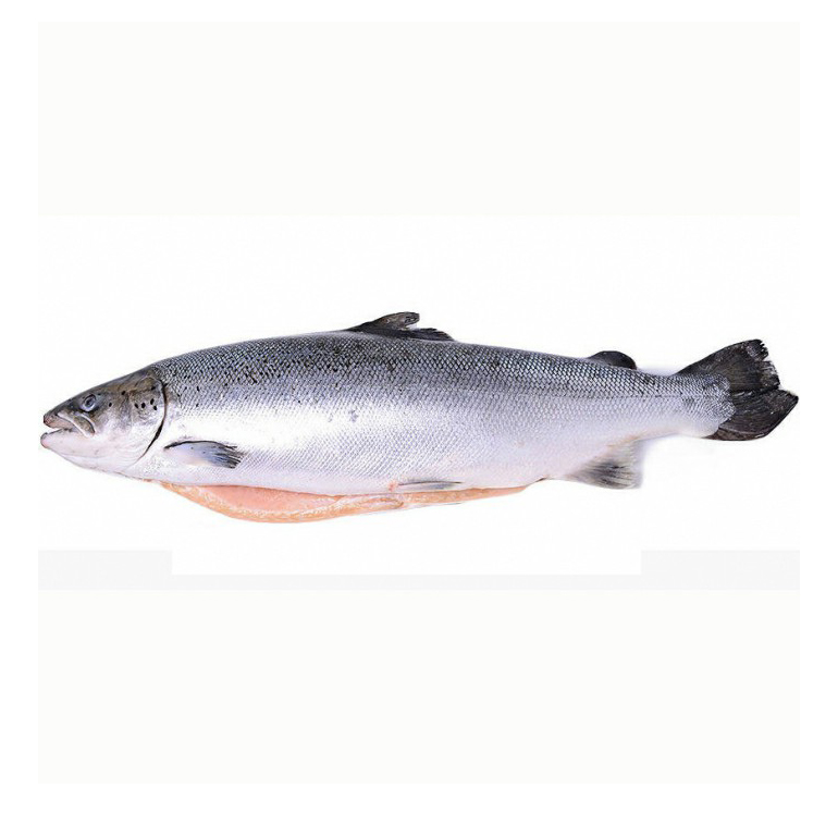 

Лосось атлантический 3/4 Premium замороженный тушка +-4 кг