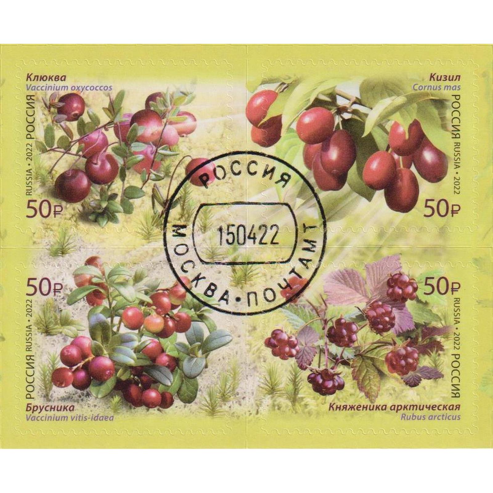 

Почтовые марки Россия Флора России - Ягоды Ягоды, ru2884