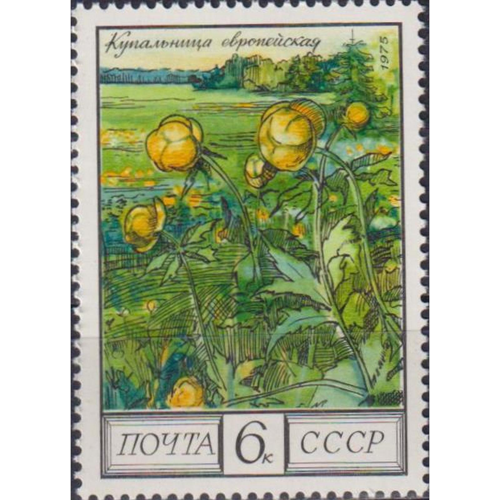 

Почтовые марки СССР Цветы - Купальница европейская Цветы