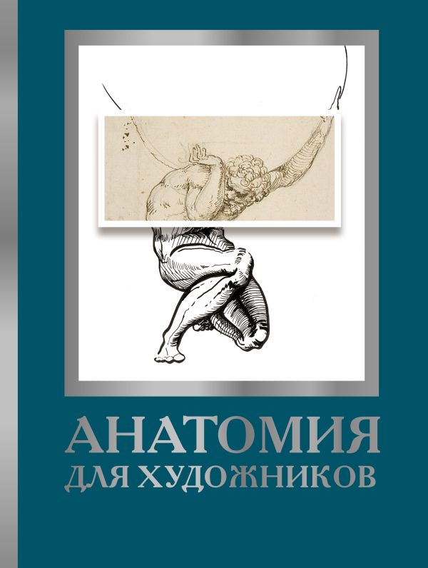 

Анатомия для художников