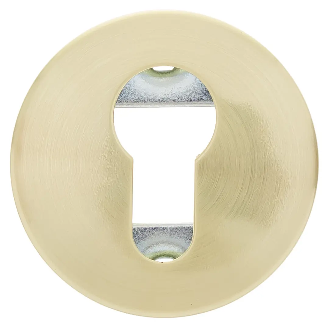 Накладка на цилиндр ASS-SC SGOLD цвет золото 480₽