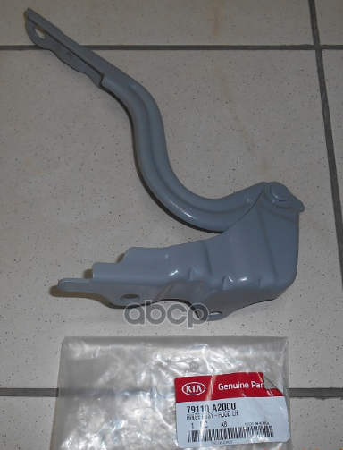 

Петля капота L HYUNDAI/KIA 79110-A2000, 79110A2000