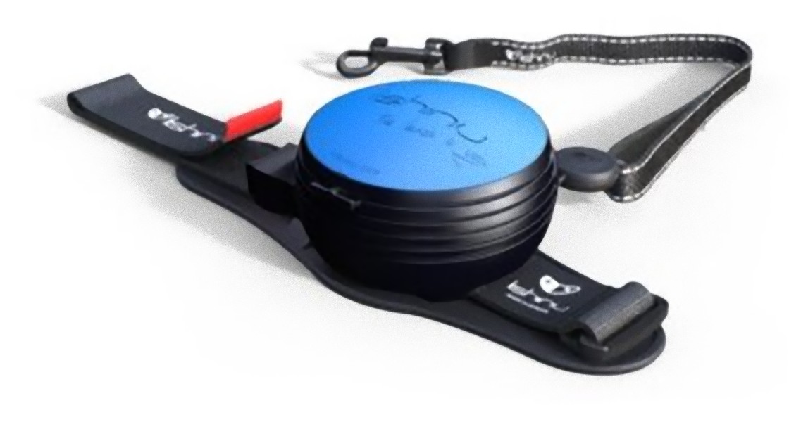 фото Поводок-рулетка для собак lishinu, 3 м, размер l, голубой, для собак 13-40 кг