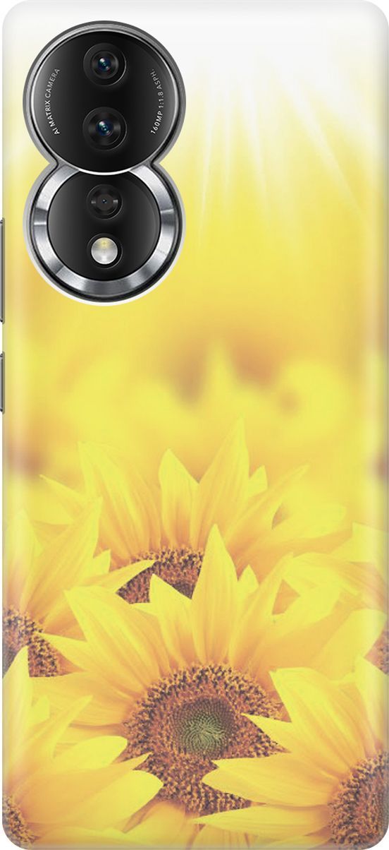 Силиконовый чехол на Honor 80 с принтом 