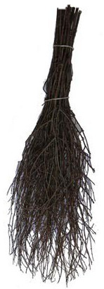 

Метла чилиговая без черенка 82