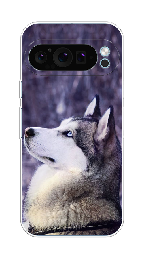 

Чехол на Google Pixel 9 "Хаски 1", Фиолетовый;белый, 271950-1