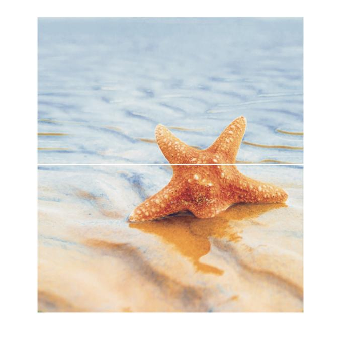 

Dec Starfish 1 Panno (панно из 2-х шт) КПН16Starfish1 50х45