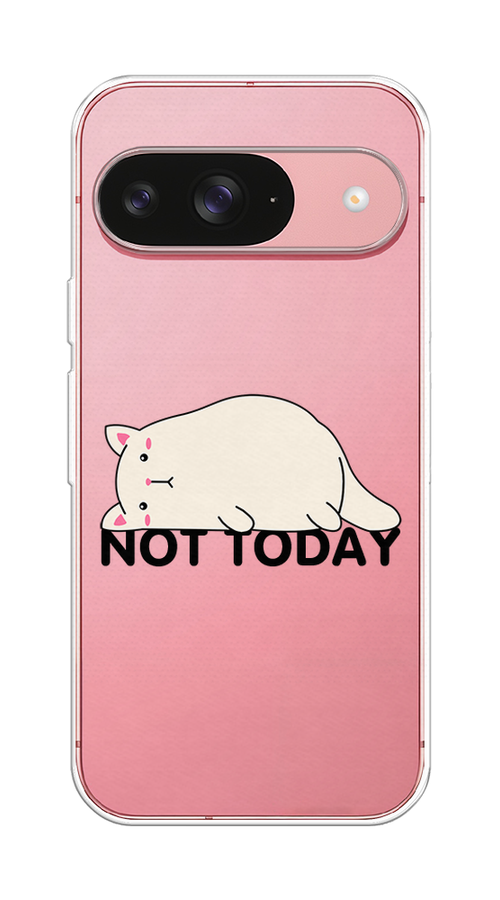 

Чехол на Google Pixel 9 "Cat not today", Белый;розовый;черный, 271950-1