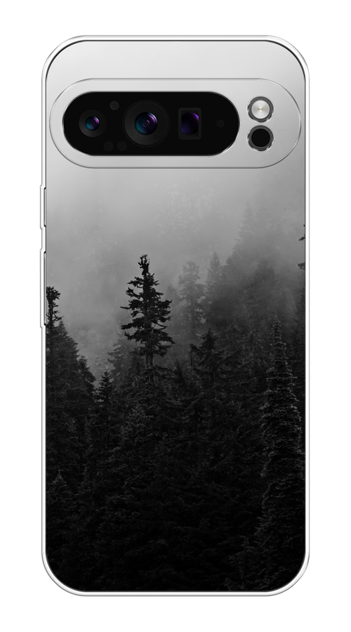

Чехол на Google Pixel 9 Pro "Туманный лес", Серый;черный, 272050-1