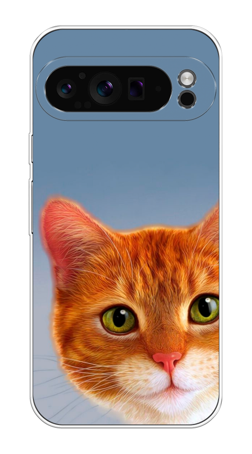 

Чехол на Google Pixel 9 Pro "Любопытный котик", Коричневый, 272050-1