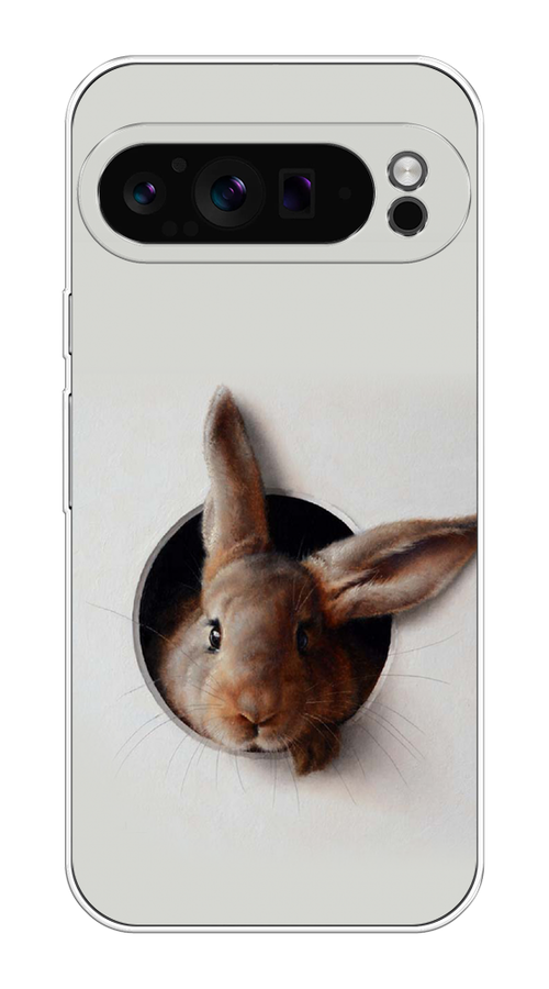 

Чехол на Google Pixel 9 Pro "Любопытный кролик", Серый;коричневый, 272050-1