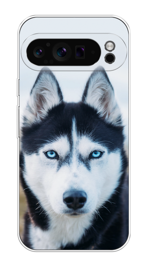 

Чехол на Google Pixel 9 Pro "Хаски 2", Синий;белый, 272050-1