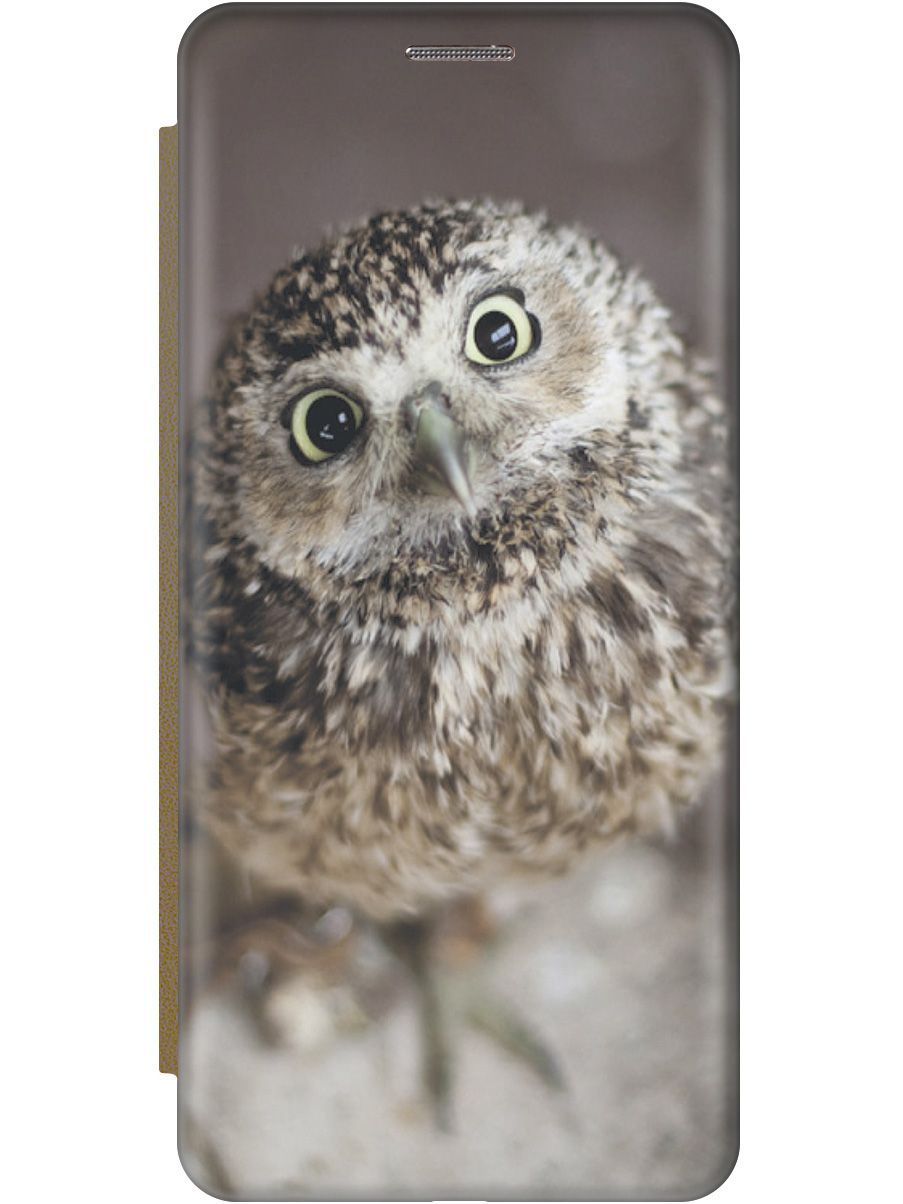 

Чехол-книжка на Realme 10 Pro+ c принтом "Удивленная сова" золотистый, Белый;коричневый, 158659