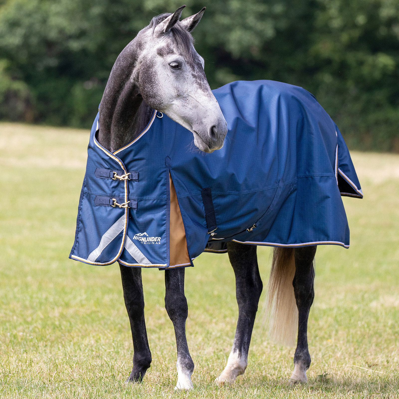 

Попона прогулочная для лошади SHIRES HIGHLANDER Plus Lite, 1200D, 0g, 155 см, Синий, Plus Lite
