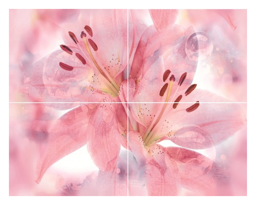 

Lily Панно P4D154 60х40