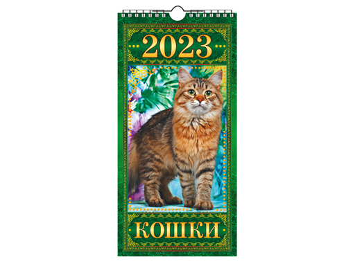 

Календарь настенный перекидной с ригелем ЕВРО "Кошки", Кошки