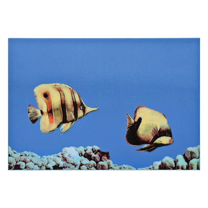 

MONO FISH 3 Декор 27,5х40